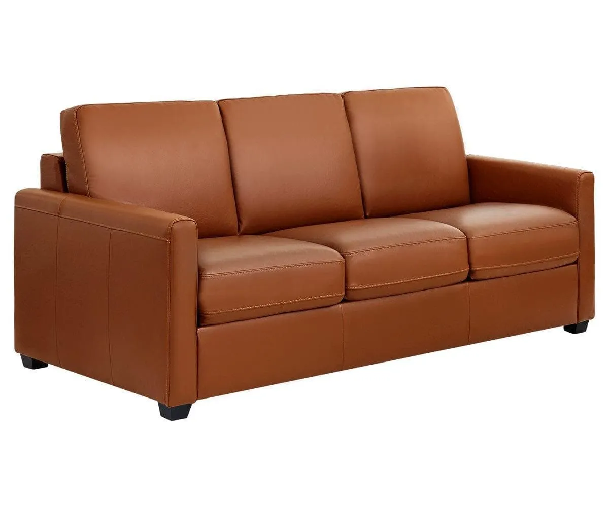 Jonas Leather Queen Sleeper Sofa