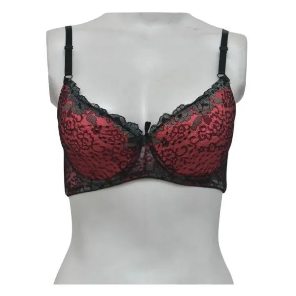 Women Underwired Bra Padded Bra Fancy Net Pushup Bra