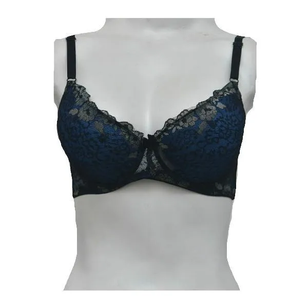 Women Underwired Bra Padded Bra Fancy Net Pushup Bra