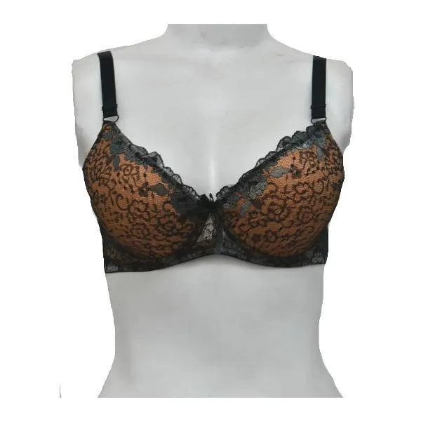 Women Underwired Bra Padded Bra Fancy Net Pushup Bra